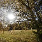 Imladris, U Pralesa * Benesov nad Cernou