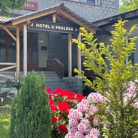 Imladris, U Pralesa 公寓 *