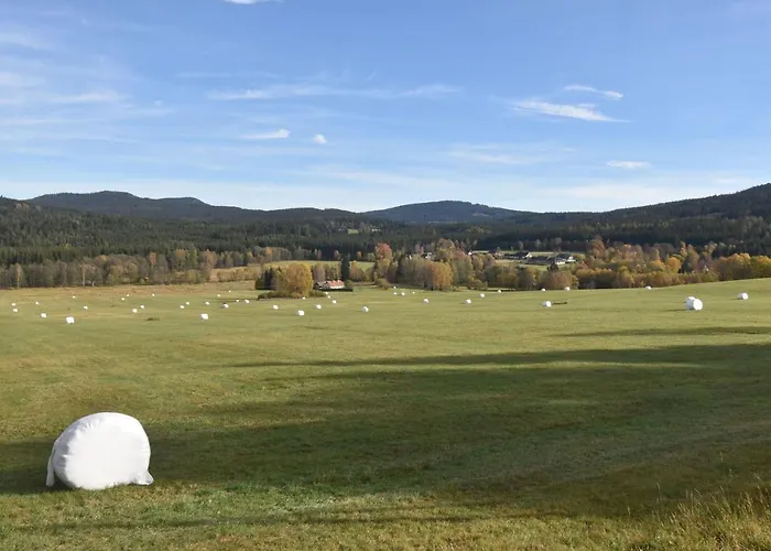 Imladris, U Pralesa Апартаменты Benesov nad Cernou