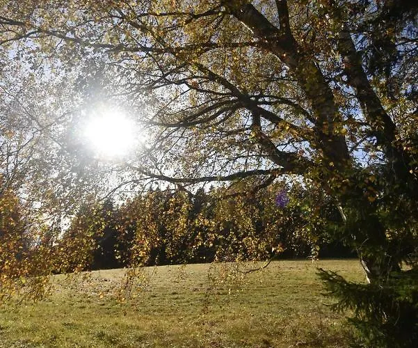 Imladris, U Pralesa * Benesov nad Cernou
